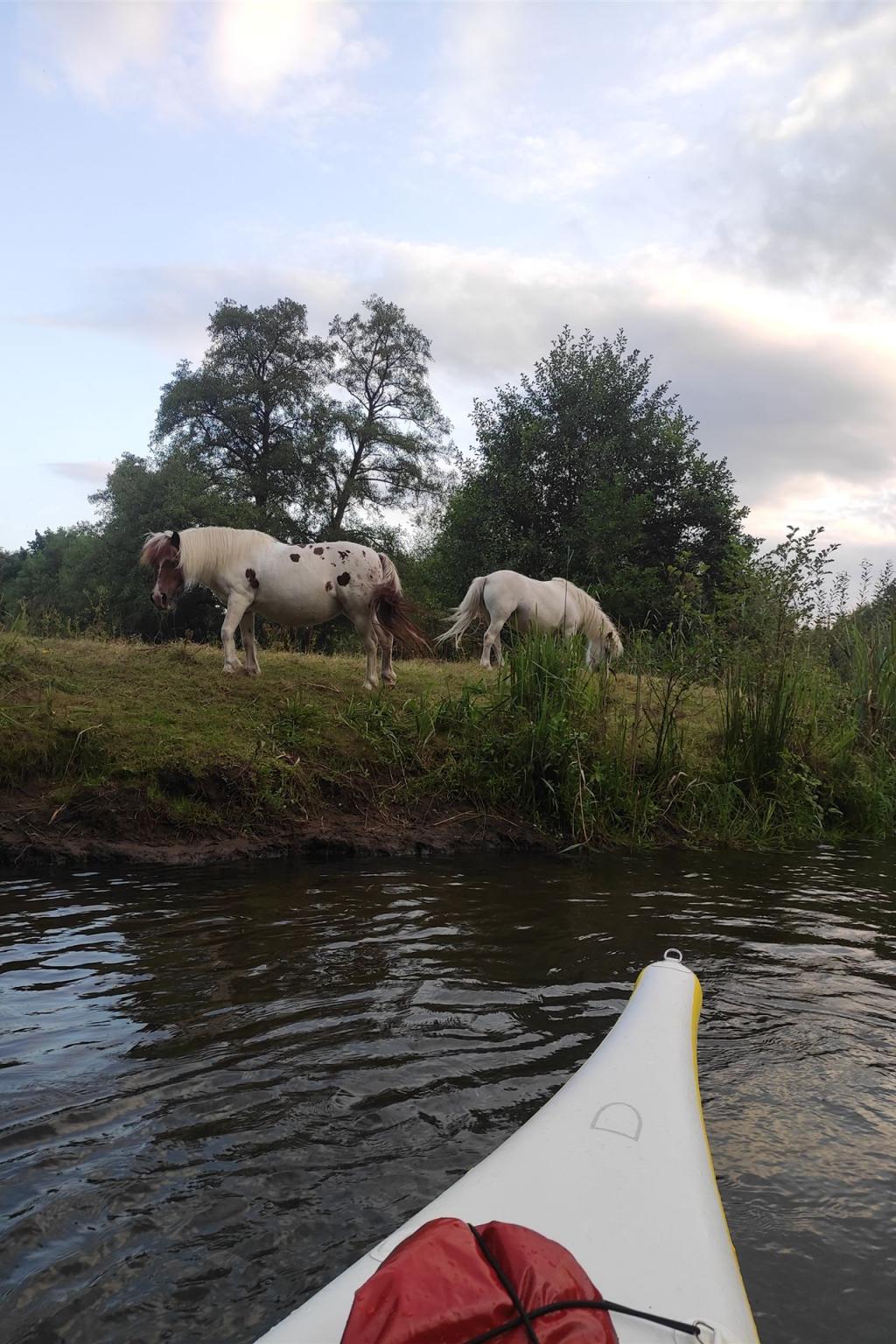 c01 SUP in Lüneburg